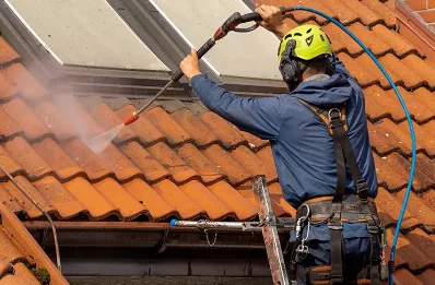 Démoussage et hydrofuge de toiture à Lanneplaà